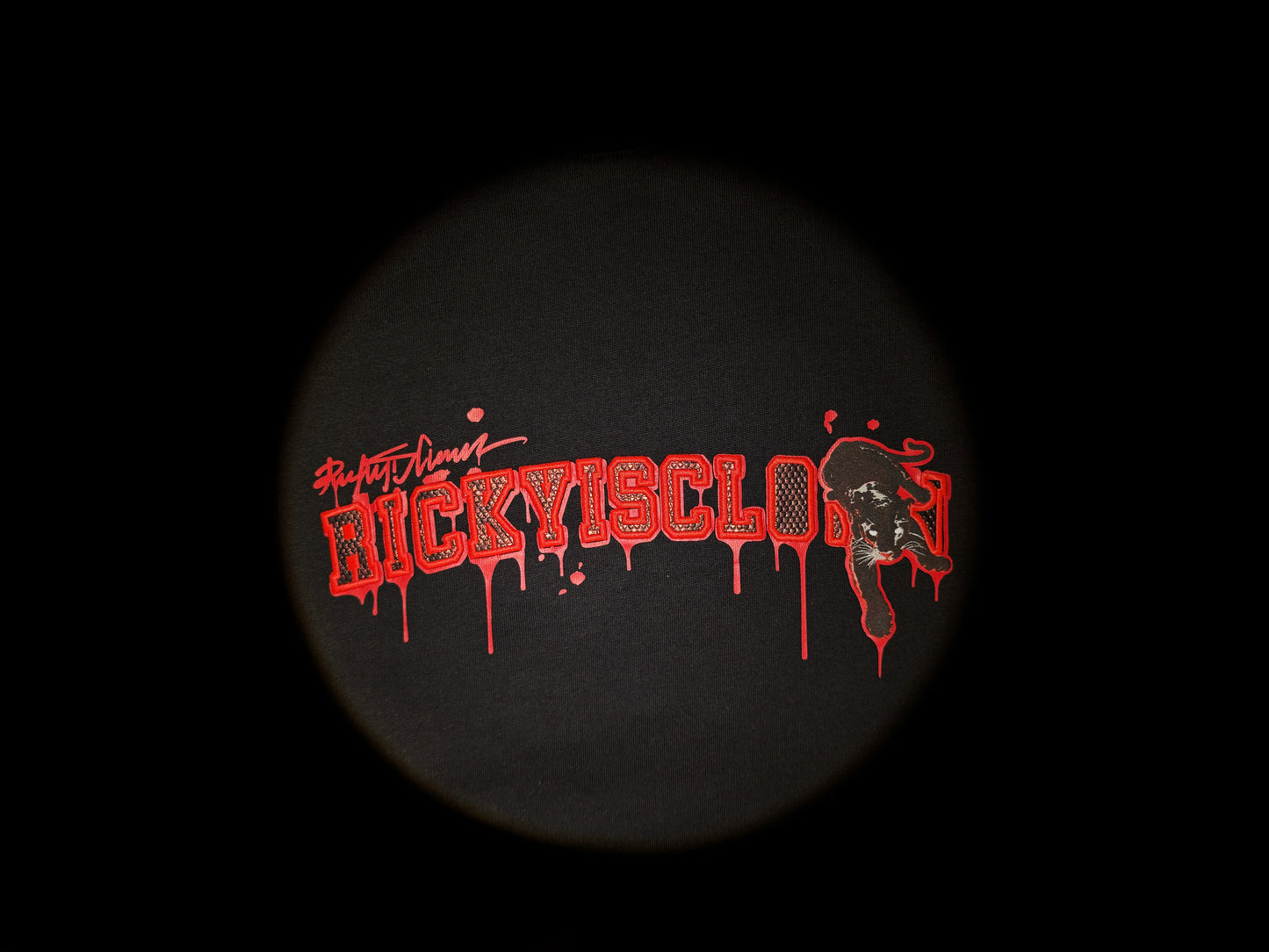 RickyisClown"BLOOD PANTHER" Patchwork Ripped Smiley Tee RIC喋血黑豹贴布绣撕裂笑脸短袖